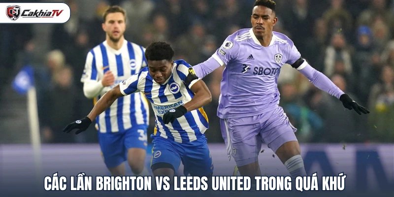 Các lần Brighton vs Leeds United trong quá khứ